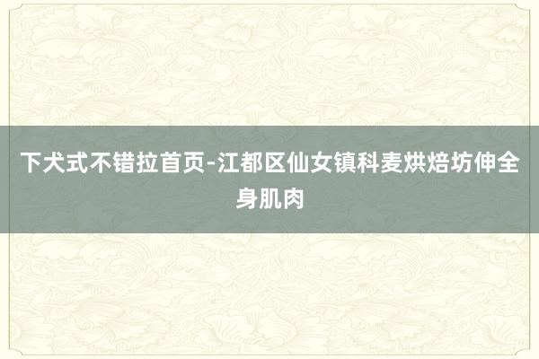下犬式不错拉首页-江都区仙女镇科麦烘焙坊伸全身肌肉